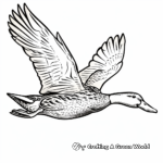 Intricate Mallard Duck in Flight Coloring Pages 3