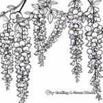 Japanese Wisteria Coloring Pages 3
