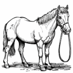 Kid-Friendly Cartoon Quarter Horse Coloring Pages 4