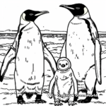 King Penguin Family Coloring Pages: Male, Female, and Chicks 2