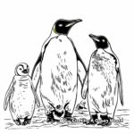 King Penguin Family Coloring Pages: Male, Female, and Chicks 4