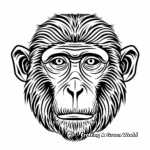 Macaque Monkey Face Coloring Pages for Primate Lovers 1