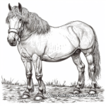 Magnificent Shire Draft Horse Coloring Pages 1