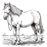 Magnificent Shire Draft Horse Coloring Pages 4