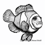 Majestic Amphiprion Percula Clownfish Coloring Pages 2
