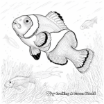 Majestic Amphiprion Percula Clownfish Coloring Pages 3