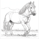Majestic Black Forest Draft Horse Coloring Pages 1