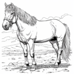 Majestic Black Forest Draft Horse Coloring Pages 4