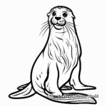 Majestic Bull Sea Lion Coloring Pages 2