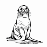 Majestic Bull Sea Lion Coloring Pages 3