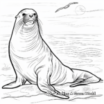 Majestic Bull Sea Lion Coloring Pages 4