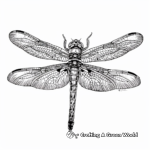 Majestic Dragonfly Coloring Pages 3