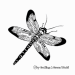 Majestic Dragonfly Coloring Pages 4