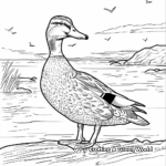 Majestic Mallard Duck on the Lake Coloring Pages 2