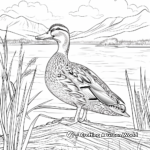 Majestic Mallard Duck on the Lake Coloring Pages 3