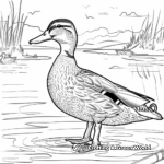 Majestic Mallard Duck on the Lake Coloring Pages 4