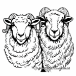 Male and Female Ram Coloring Pages: A Family Portrait 3