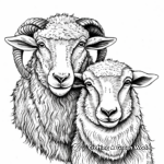 Male and Female Ram Coloring Pages: A Family Portrait 4
