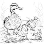 Mallard Duck Family Coloring Pages: Drake, Hen, and Ducklings 1
