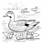 Mallard Duck Family Coloring Pages: Drake, Hen, and Ducklings 2