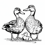 Mallard Duck Family Coloring Pages: Drake, Hen, and Ducklings 4