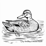 Mallard Duck Swimming Coloring Pages 1