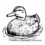 Mallard Duck Swimming Coloring Pages 2