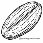 Natural Pecan Nut Oval Coloring Pages 3