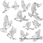 Nature’s Beauty: Birds in Flight Coloring Pages 4