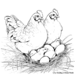 Nesting Hen and Baby Chicks Coloring Page 3