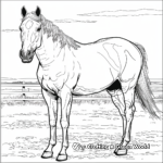 Palomino Quarter Horse Coloring Pages 1