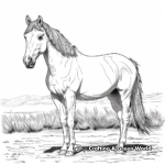 Palomino Quarter Horse Coloring Pages 2