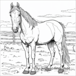 Palomino Quarter Horse Coloring Pages 3