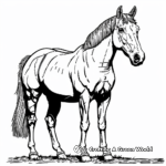 Palomino Quarter Horse Coloring Pages 4