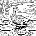 Peaceful Scene: Mallard Duck with Lily Pads Coloring Pages 2
