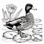 Peaceful Scene: Mallard Duck with Lily Pads Coloring Pages 3