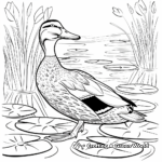 Peaceful Scene: Mallard Duck with Lily Pads Coloring Pages 4