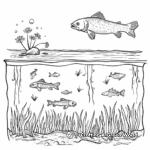 Pond-Related Food Chain: Educational Coloring Pages 2