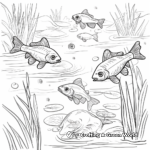 Pond-Related Food Chain: Educational Coloring Pages 3