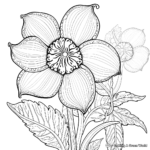 Printable Daffodil Coloring Pages with Intricate Details 3