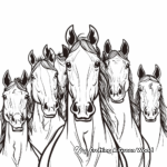Quarter Horse Herd Coloring Pages 3