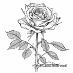 Radiant Yellow Rose Coloring Pages 4