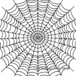 Rainbow Spider Web Coloring Sheets 3