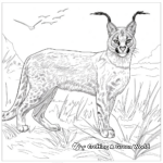 Realistic Caracal Coloring Sheets 4