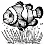 Realistic Clownfish Habitat Coloring Pages 4