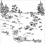 Realistic Deer Tracks Coloring Pages 2