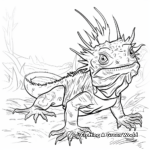 Realistic Frilled Lizard Coloring Pages 4