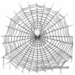 Realistic Golden Silk Spider Web Coloring Pages 2