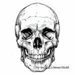 Realistic Human Skull Coloring Pages 3