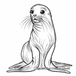 Realistic Sea Lion Coloring Pages 1